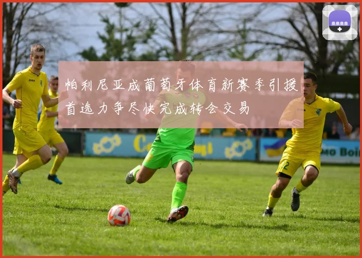 帕利尼亚成葡萄牙体育新赛季引援首选力争尽快完成转会交易